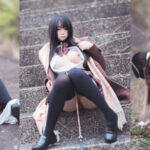 รูปหีนานาชาติ